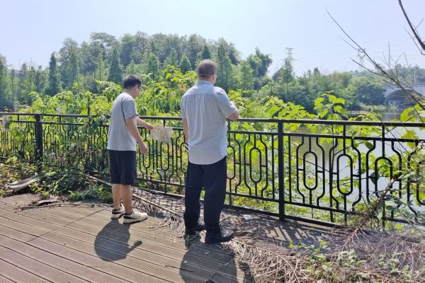 生態(tài)公司開展先鋒公園安全巡查暨汛期專項隱患排查工作