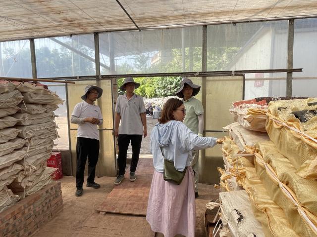 瀘州城投花木公司與北京花木公司專家團隊開展技術(shù)交流